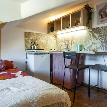 La Mansarda Rosa Di Via Cernaia * 都灵